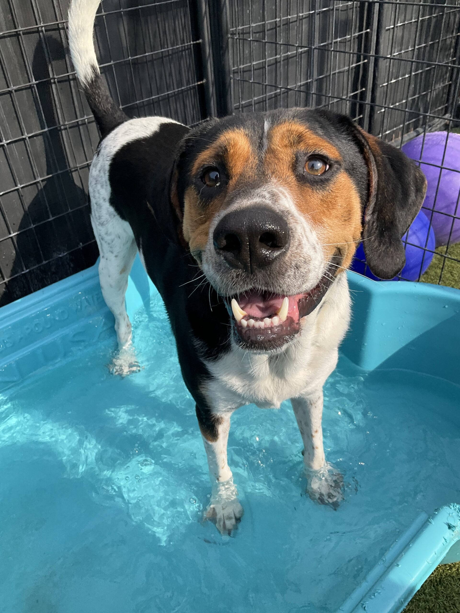 C72e4c48 a1da 4d8f b2c6 d27f8daf808f img 5853