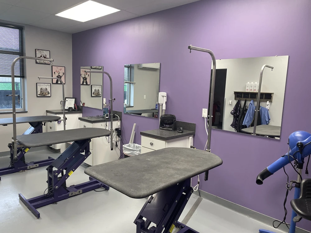 grooming-facility Grooming facility