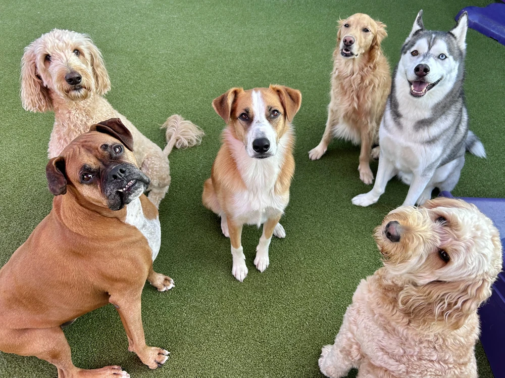 group-play Group play