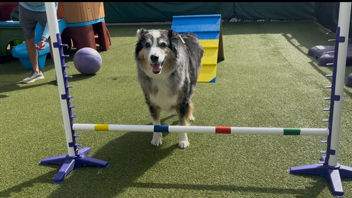 training-2 Training 2
