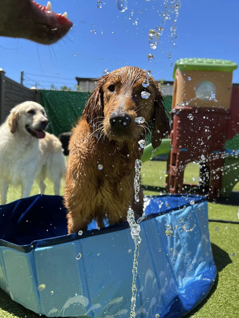 water-play Water play
