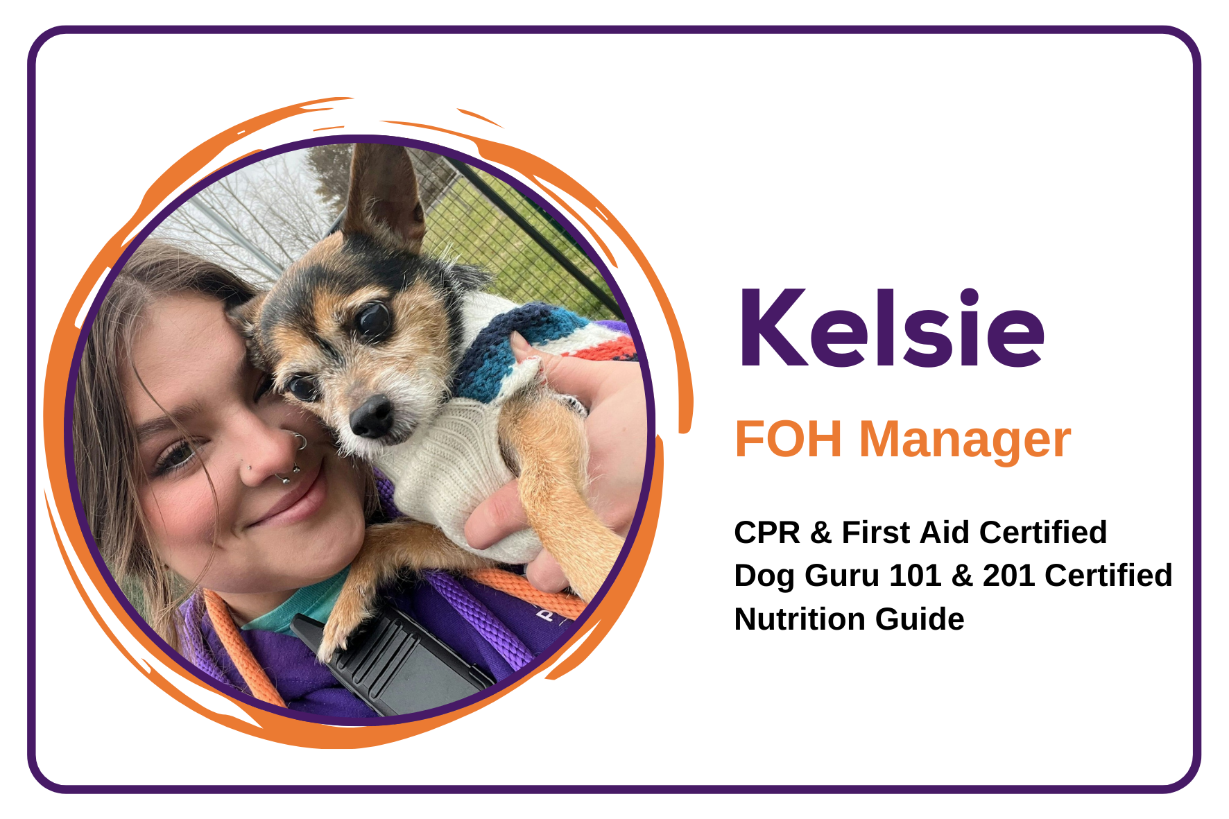 Website nameplates (3)