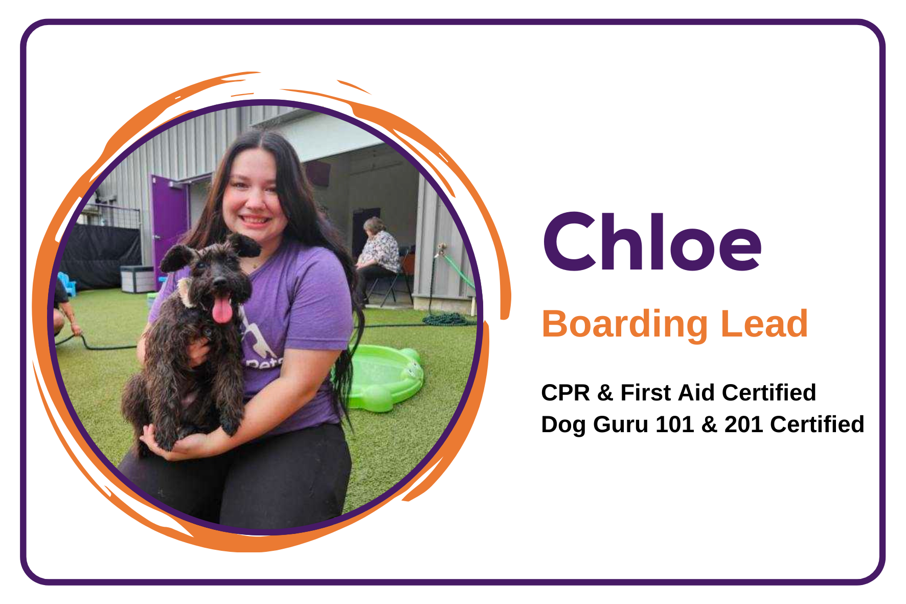 Website nameplates (4)