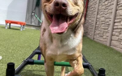 Aging Out Of Daycare