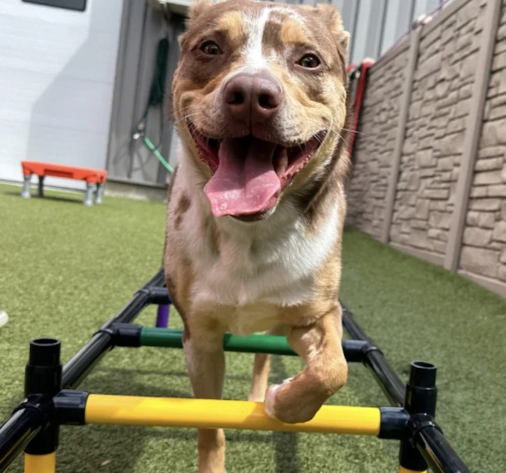 Aging Out Of Daycare